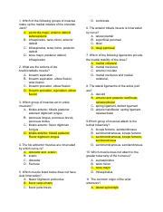 B Radial C Radial Ulnar D Ulnar 26 Which Muscles Attach To The Ischial