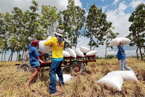 Bir May Exempt Small Farmers From Receipt Invoice Requirement