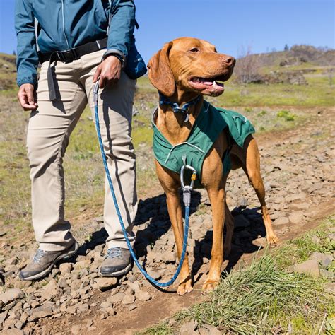 Ruffwear overcoat fuse jacket dog coat evergreen s – Artofit
