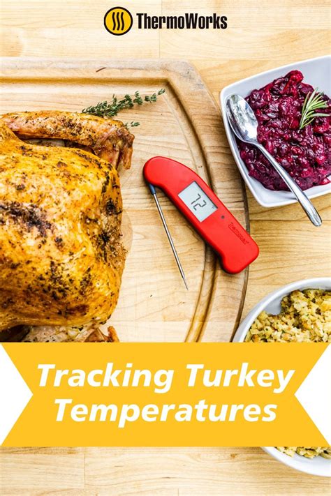 How To Cook A Turkey Turkey Temperature And Doneness Recipe Turkey Temp Cooking The Perfect