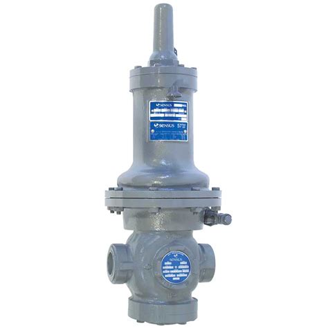 Sensus 461 57s Medium Pressure Large Capacity Gas Regulator Marshall W Nelson And Associates Inc