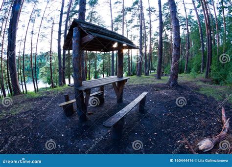 Picnic Place In Forest Stock Photo Image Of Rest Grass 160444416