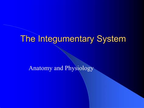 The Integumentary System