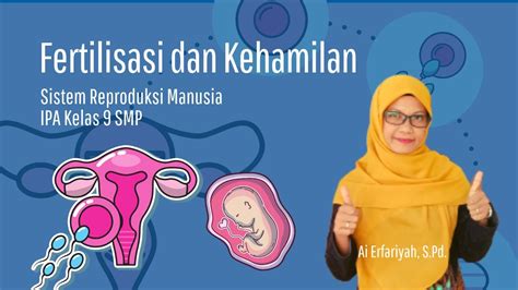 Fertilisasi Dan Kehamilan Sistem Reproduksi Wanita Youtube