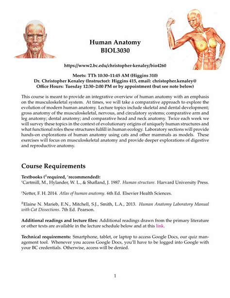 Pdf Human Anatomy Biol Boston College Pdf Filehuman Anatomy