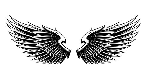 Set Of Angel Wings Vector Illustration Design 12209879 Vector Art At