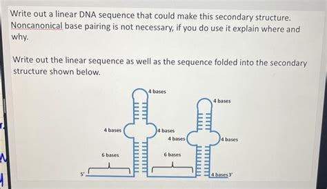 Solved Write out a linear DNA sequence that could make this | Chegg.com