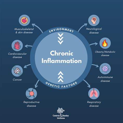 Anti Inflammatory Diet Benefits Central And Stanley Wellness Hong Kong