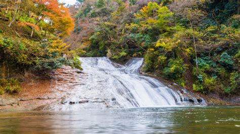 【千葉紅葉スポット】ドライブで絶景を満喫「養老渓谷コース」 ルトロン