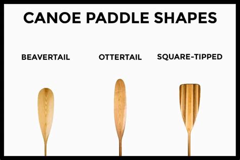 Parts Of A Canoe Paddle Grip To Tip Paddle Camp