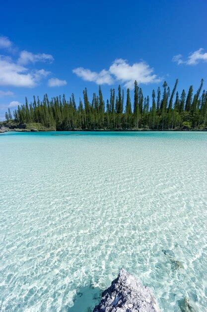 Premium Photo Beautiful Seascape Of Natural Swimming Pool Of Oro Bay