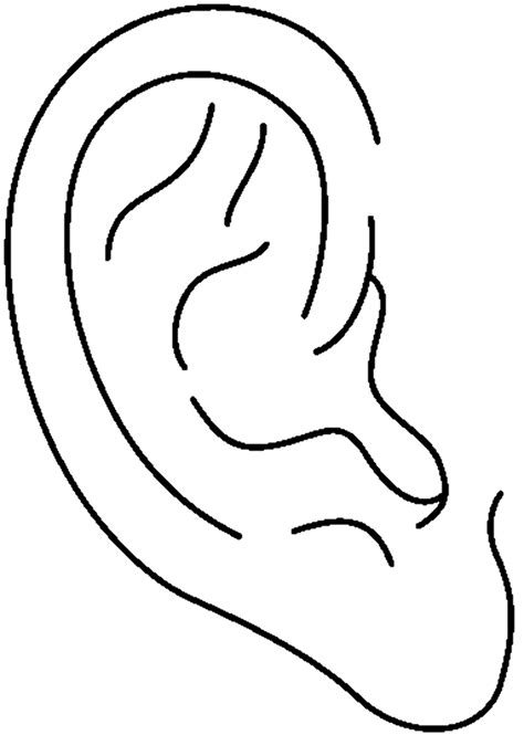 Download High Quality Ear Clipart Black And White Transparent Png