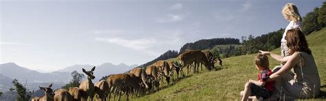 Wildpark Aurach Kitzbüheler Alpen Sommer Card