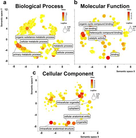 Gene Ontology Scatterplot Of Ae Aegypti Transcripts With M⁶a