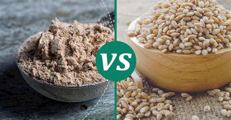 Barley Vs Barley Malt Flour Health Insights