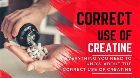 Everything You Need To Know About The Correct Use Of Creatine Teronga