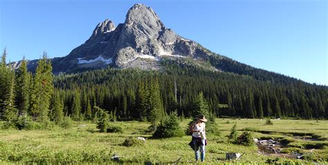 The search for the bog lemming in the North Cascades | Burke Museum