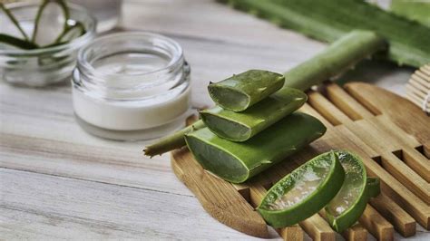 Sabes cuáles son los beneficios del aloe vera para tu organismo