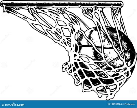 Basketball Net Stock Illustrations 6437 Basketball Net Stock