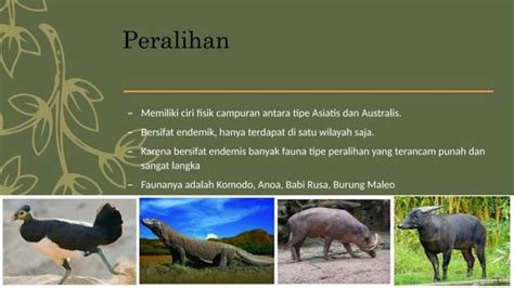 Keragaman Flora Dan Fauna Di Indonesia Pptx