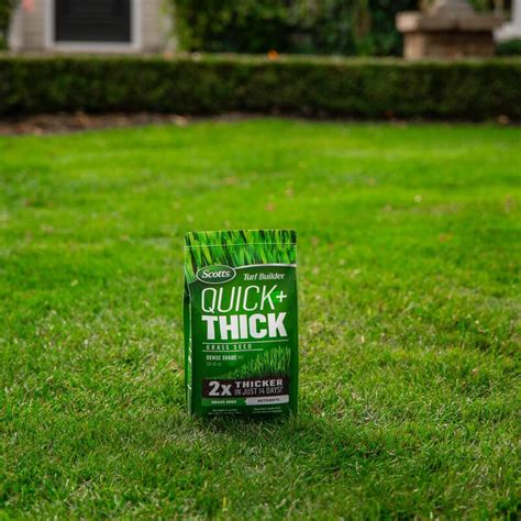 Scotts® Turf Builder® Quick Thick™ Grass Seed Dense Shade Mix Terra Greenhouses