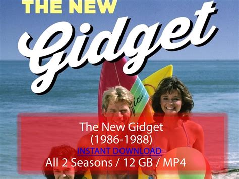 The New Gidget (1986-1988)