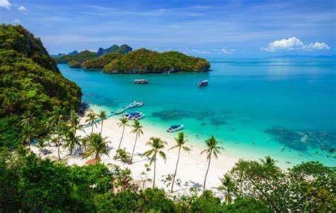 Guide De Koh Samui Vos Vacances Paradisiaques Voyage Pulse