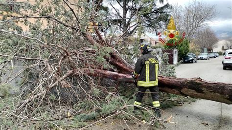 Vento Forte E Alberi Caduti Interventi Dei Vigili Del Fuoco In Via