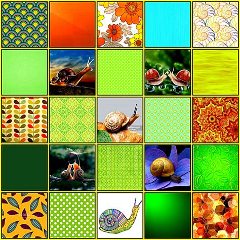 Solve Snails Shells Jigsaw Puzzle Online With 400 Pieces