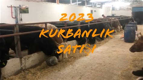 2023 KURBANLIK SATIŞI YouTube