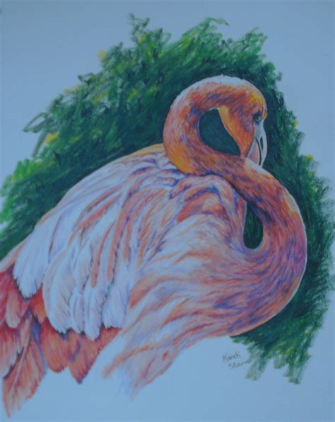 Flamingo By Kandi Starr Colored Pencils Kandi Starr Colored