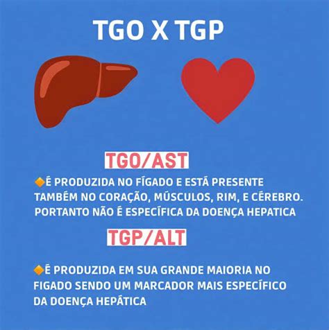 Tgo E Tgp Alterados Sintomas - Super Reforço: O que é TGO e TGP?