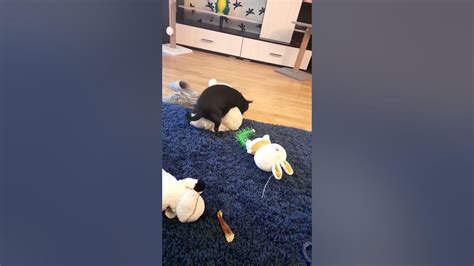 малой поплыл🤣 - YouTube