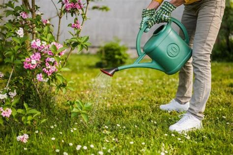 Lawn Tips ‘best Time Of Year To Fertilise Lawns ‘boosts The Colour