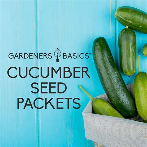 Cucumber Seeds – Gardeners Basics