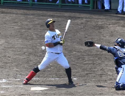 【阪神】2軍12連勝 陽川尚将が先制ソロ弾「ネットがなかったら関空まで」平田監督／一問一答 プロ野球写真ニュース 日刊スポーツ