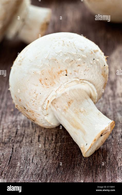 Button Mushroom Hi Res Stock Photography And Images Alamy