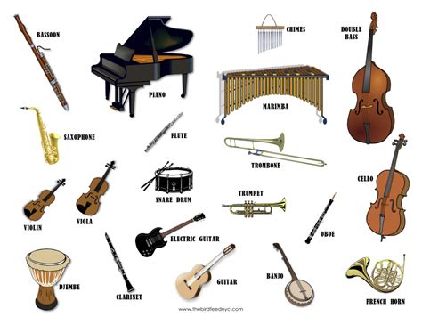 List Of Instruments And Their Families