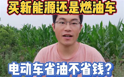 该买新能源车还是燃油车，新能源车省油不省钱？秦不如宝来省钱？ 307树车市新风 307树车市新风 哔哩哔哩视频