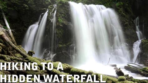 Downing Creek Falls Willamette National Forest Oregon Hiking