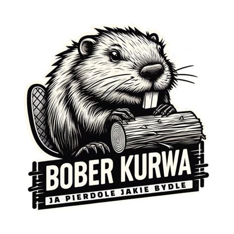 Bober by echonstudio | Fun illustration, Graphic design logo, Funny art