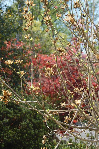 PM Water Cooler Naked Capitalism