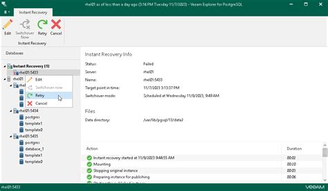 Retrying Instant Recovery Veeam Backup Explorers Guide