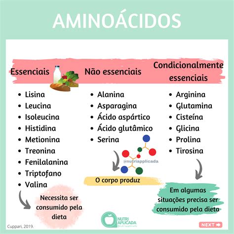 Mapa Mental De Aminoacidos BRAINCP