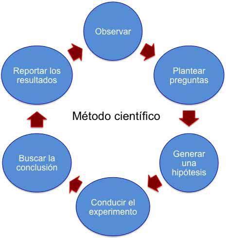 Pin By Meiker Carela Mendez On Sabiduria Pie Chart Chart