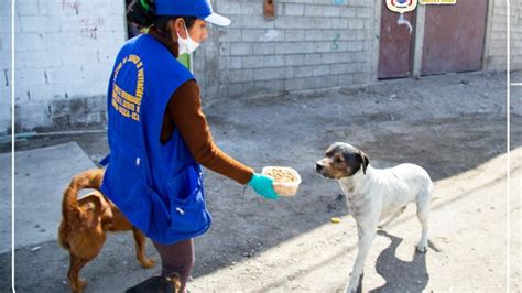 Continuamos Dando Esperanza A Nuestros Callejeritos Noticias