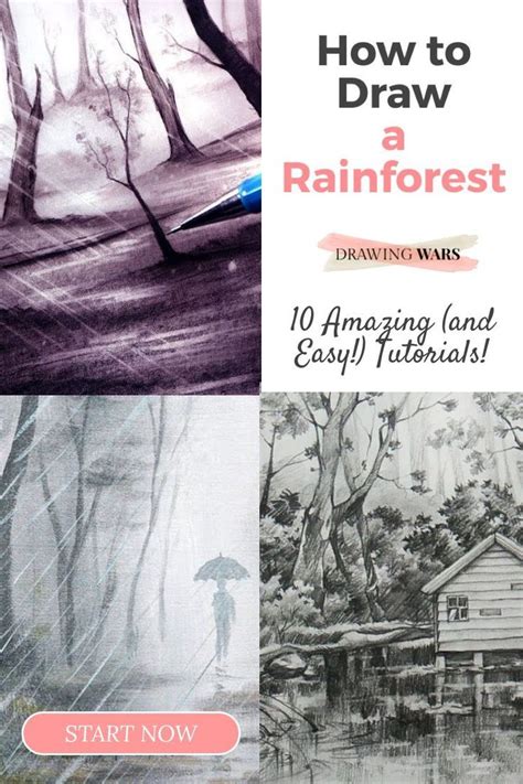 The Best 10 Tutorials On How To Draw A Rainforest Step By Step Easy