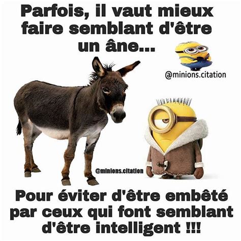 Citation Intelligence Humour Gratuit CitationMeme