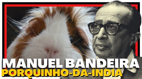 PORQUINHO DA ÍNDIA Manuel Bandeira Dose Literária 196 YouTube