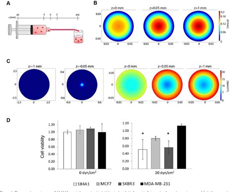 Fluid Shear Stress Induces Cancer Stem Cell Like Phenotype In MCF7